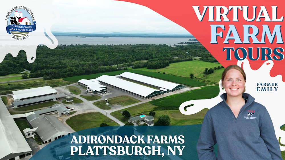 Dairy Deep Dive – Virtual Farm Tour to New York’s Adirondack Farms