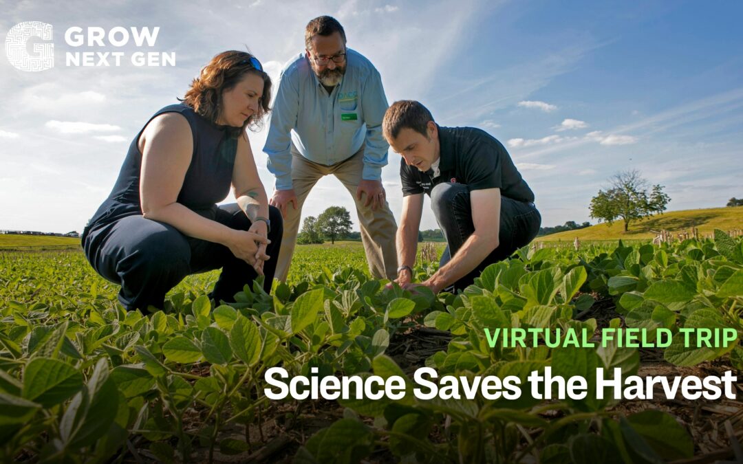 Science Saves the Harvest