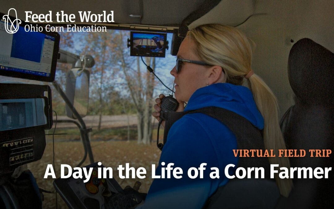 A Day in the Life of a Corn Farmer