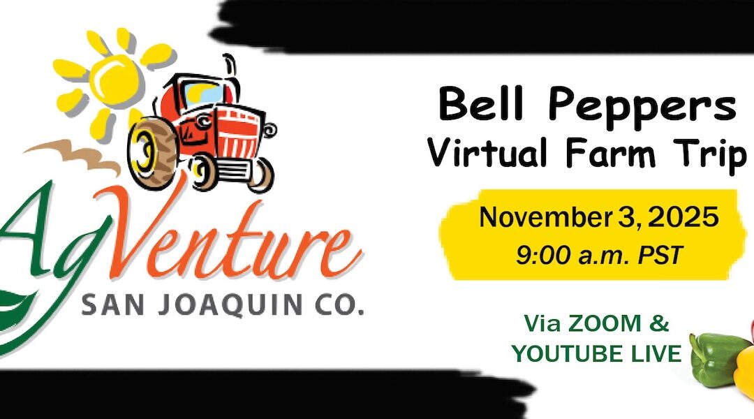 SJC AgVenture Fall Virtual Farm Trip – Bell Peppers