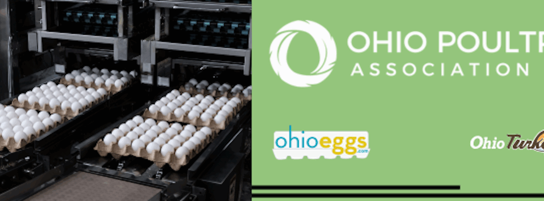 Virtual Field Trip to an Ohio Egg Farm – Egg Processing Edition